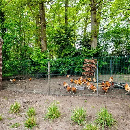 Bosrust 度假居 富格特