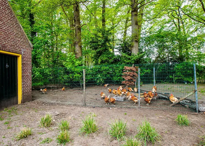 Bosrust Hébergement de vacances Vught